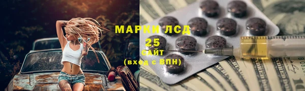 ПСИЛОЦИБИНОВЫЕ ГРИБЫ Абаза