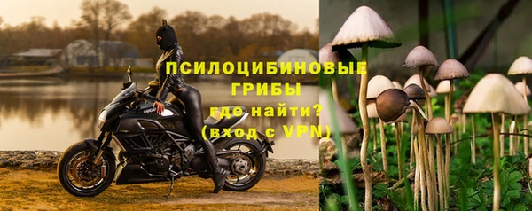 ПСИЛОЦИБИНОВЫЕ ГРИБЫ Абаза