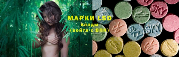 ПСИЛОЦИБИНОВЫЕ ГРИБЫ Абаза