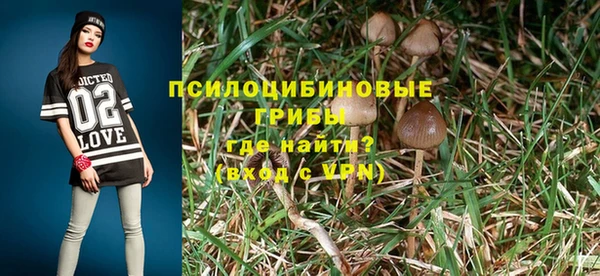 трава Абинск