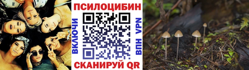 площадка телеграм  Струнино  Псилоцибиновые грибы мухоморы 